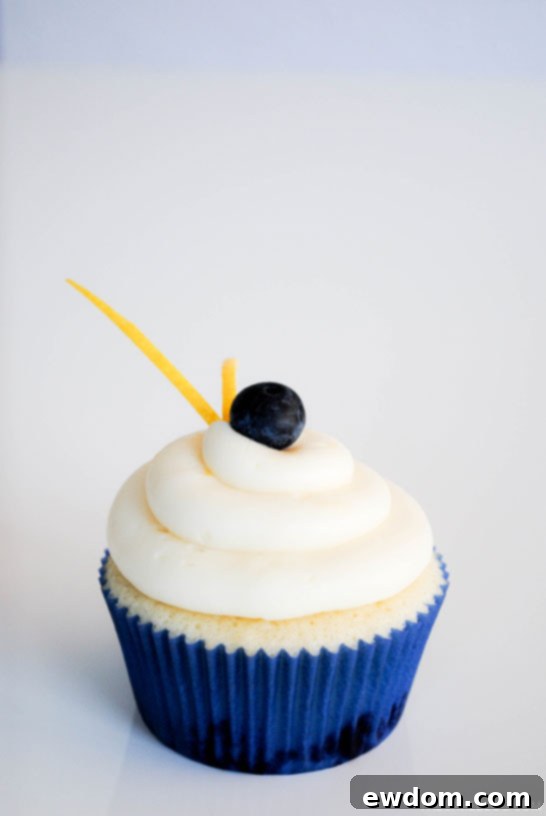 Beautifully frosted Lemon Blueberry Cupcakes with lemon zest and fresh blueberries as garnish, showcasing perfect presentation.