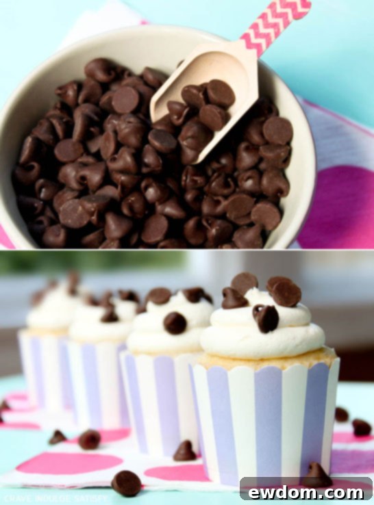 Ultimate Chocolate Chip Cupcakes 2 Delicious Chocolate Chip Cupcakes by Lauren Kapeluck from TheCakeBlog.com