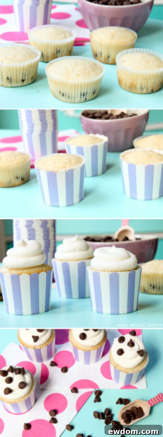 Ultimate Chocolate Chip Cupcakes 3 Close-up of Chocolate Chip Cupcakes in decorative liners by Lauren Kapeluck, ideal for celebrations
