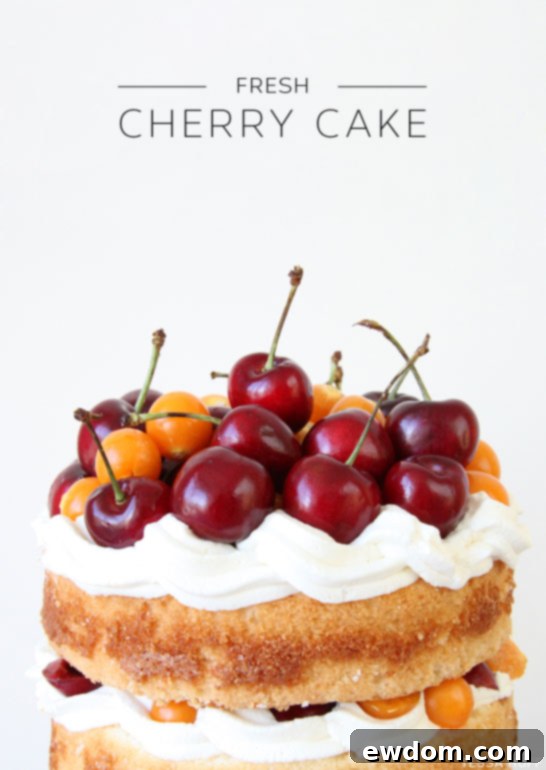 Fresh Cherry Cake with Almond Whipped Cream by Tessa Huff | TheCakeBlog.com