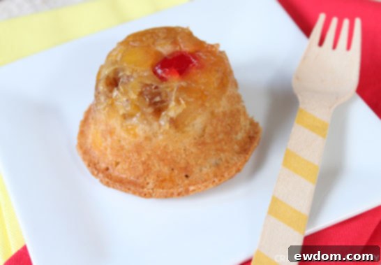 Pineapple Upside-Down Cupcake by Lauren Kapeluck - Golden caramelized topping with crushed pineapple and a cherry center