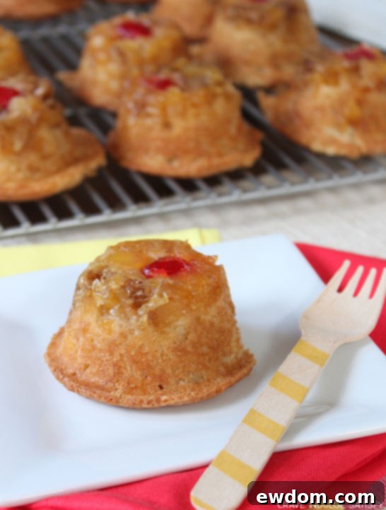 Arrangement of Pineapple Upside-Down Cupcakes ready for serving, highlighting their vibrant colors
