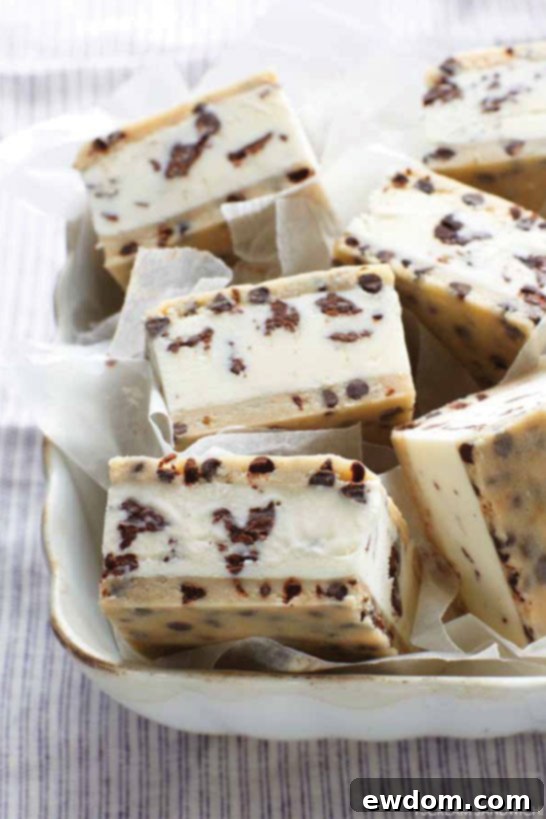 Cookie Dough Ice Cream Sandwich | by Jennie Schacht, author of I Scream Sandwich! | TheCakeBlog.com