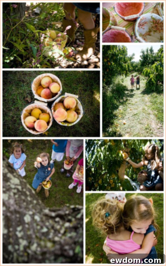 Peaches and Cream Birthday Party