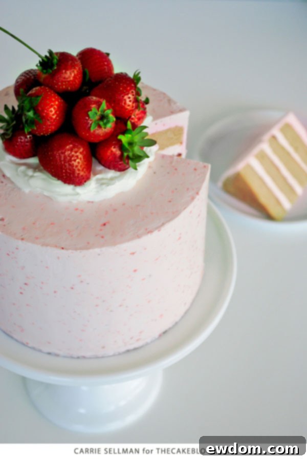 Strawberry Pie Cake Perfection 4 Strawberry Pie Cake | Graham Cracker Cake with Strawberry Buttercream and fresh berries | by Carrie Sellman for TheCakeBlog.com