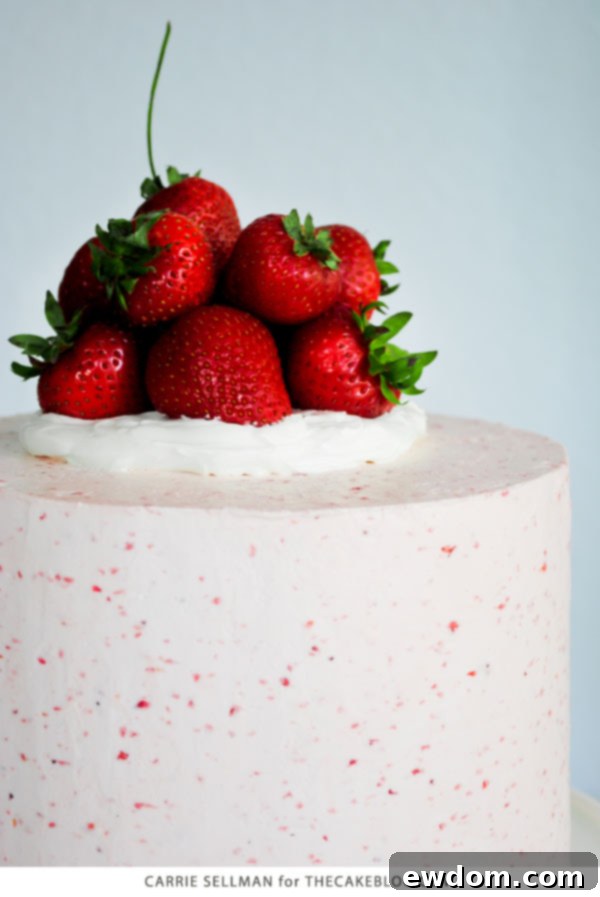 Strawberry Pie Cake Perfection 5 Strawberry Pie Cake | Graham Cracker Cake with Strawberry Buttercream and fresh berries | by Carrie Sellman for TheCakeBlog.com