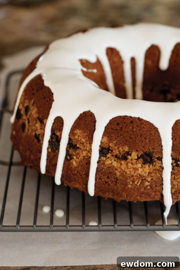S'mores Coffee Cake - s'mores inspired cake recipe with graham cracker crumbs, chocolate chips and drippy marshmallow glaze | Susan Whetzel on TheCakeBlog.com