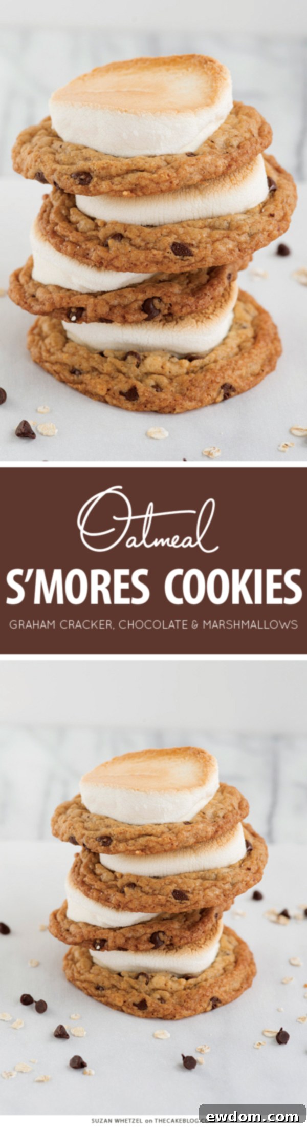 Oatmeal Chocolate Chip S'mores Cookie - s'mores inspired cookie recipe filled with oats, graham cracker crumbs, chocolate chips and toasted marshmallow | Susan Whetzel on TheCakeBlog.com