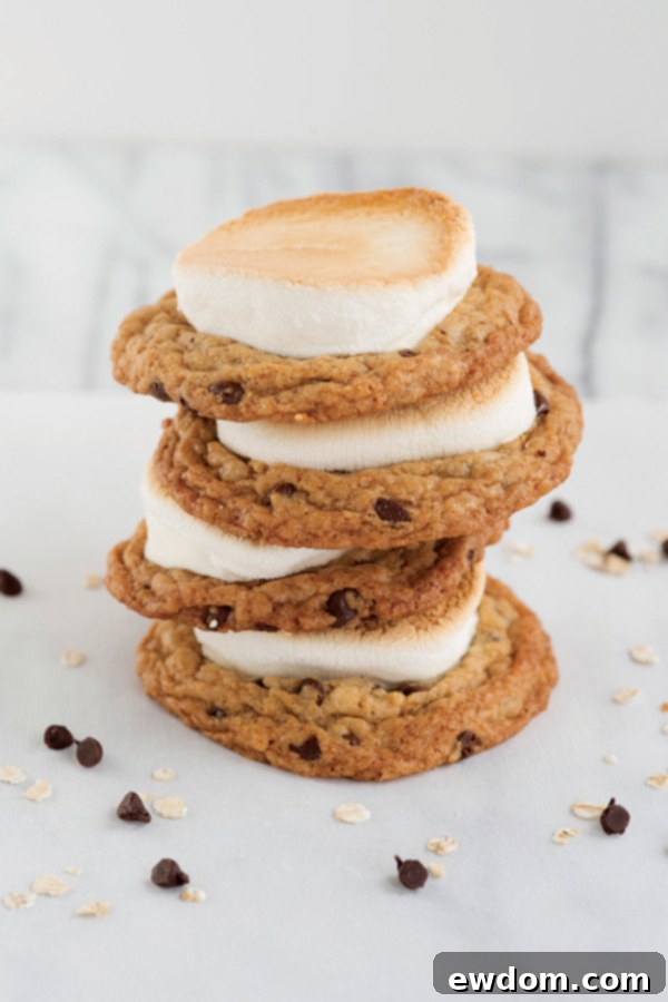 Delicious Oatmeal Chocolate Chip S'mores Cookies with perfectly toasted marshmallows, ready to be enjoyed as a perfect fall treat.