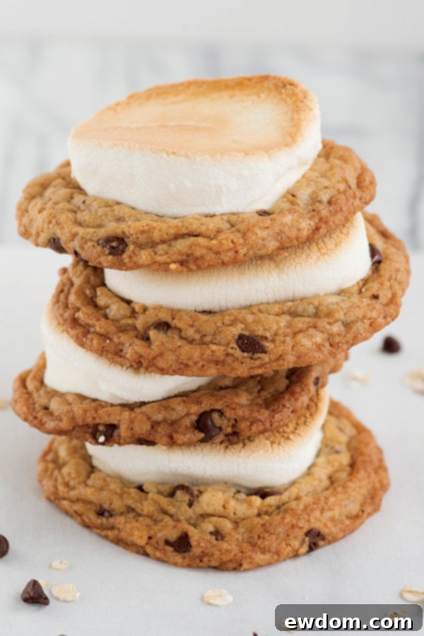 Close-up view of freshly baked Oatmeal Chocolate Chip S'mores Cookies, each topped with a perfectly toasted marshmallow.