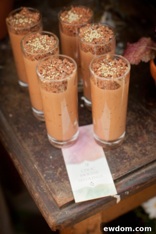 Urban Gardener Dessert Display - Variety of Australian Inspired Sweets