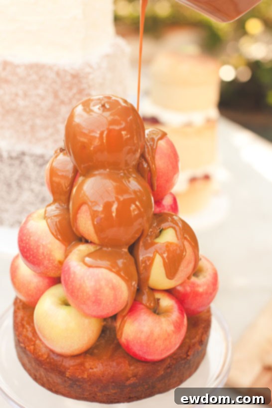 Urban Gardener Dessert Display - Unique Flavor Combinations