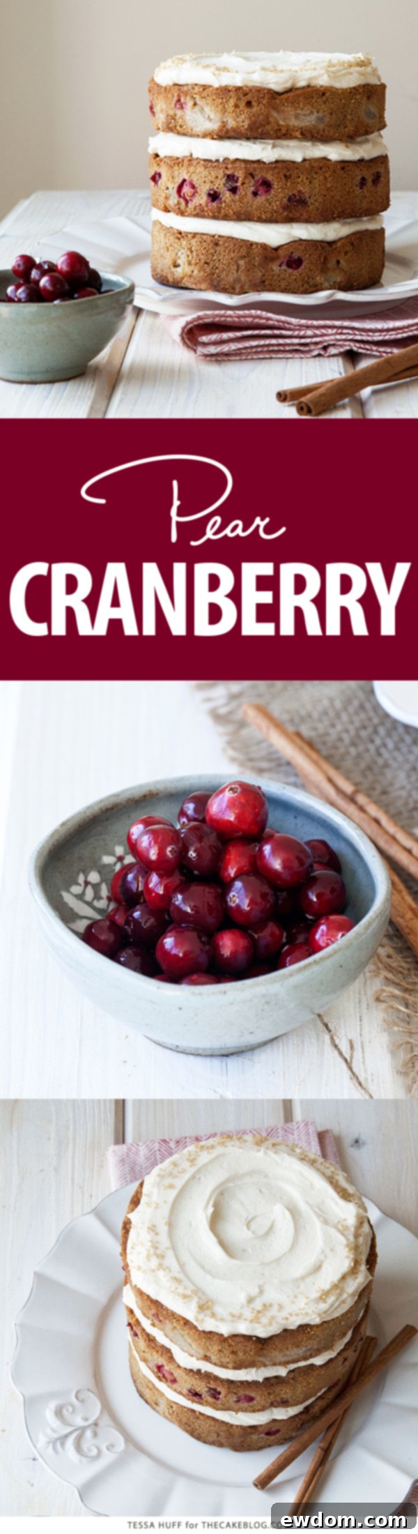 Exquisite Pear & Cranberry Cake, beautifully decorated for holiday parties and Christmas dessert. By Tessa Huff for TheCakeBlog.com