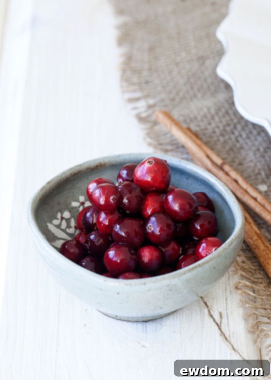 A stunning slice of Pear & Cranberry Cake, showcasing its vibrant layers and inviting texture. A perfect Christmas dessert.