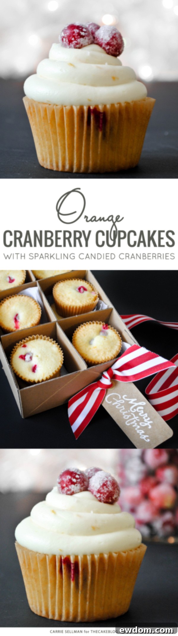 Cranberry Orange Cupcakes with vibrant sugared cranberries, perfect for your holiday dessert table and Christmas gatherings. Featured on TheCakeBlog.com