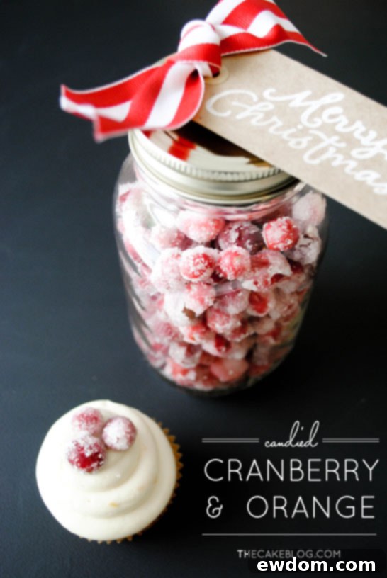 Close-up of freshly baked Cranberry Orange Cupcakes topped with creamy orange cream cheese frosting and sparkling sugared cranberries, a perfect holiday treat.