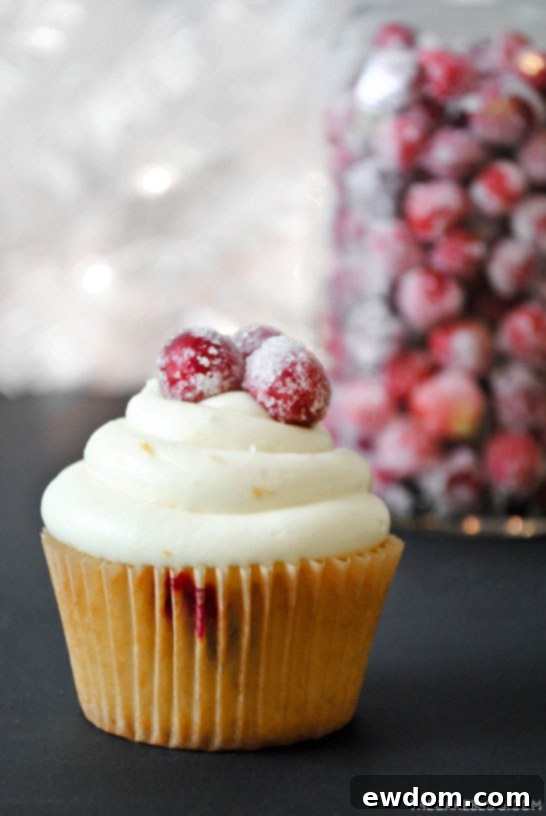 A batch of homemade sugared cranberries drying on a baking sheet, ready to adorn holiday desserts and festive cocktails.