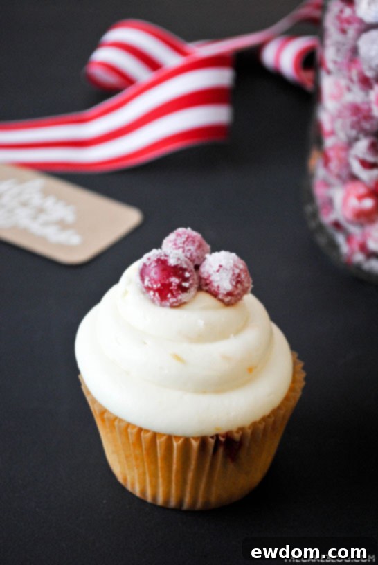 Two Cranberry Orange Cupcakes adorned with sugared cranberries and luscious cream cheese frosting, showcasing a perfect holiday dessert.