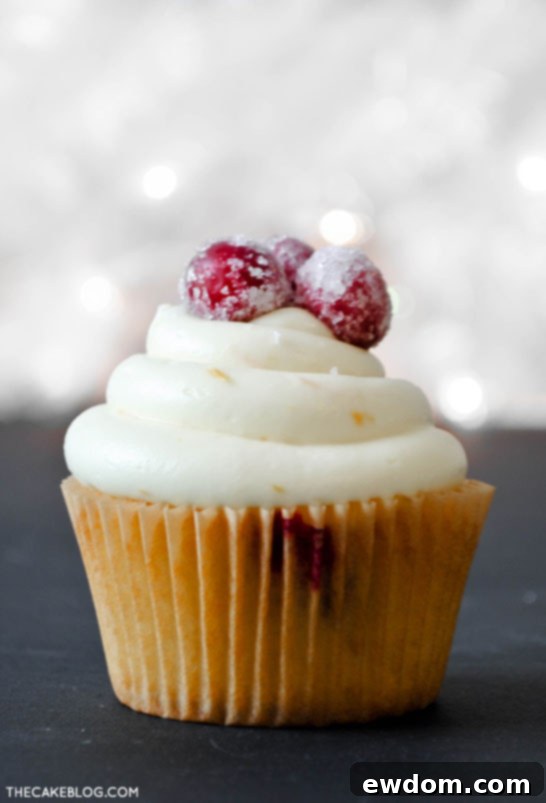 An array of Cranberry Orange Cupcakes beautifully frosted and garnished with sugared cranberries, prepared for a festive holiday celebration.