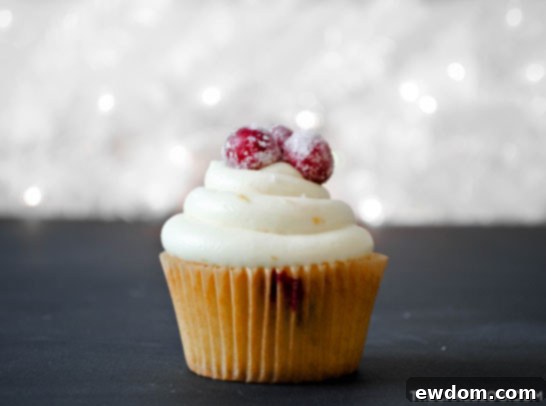 A beautifully decorated Cranberry Orange Cupcake, ready to be enjoyed as a festive dessert during the holiday season.
