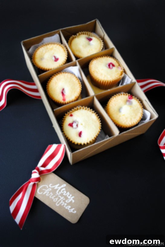A dozen Cranberry Orange Cupcakes thoughtfully packaged in a decorative box, perfect for a heartwarming holiday gift.