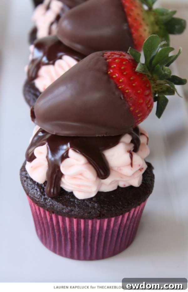 Luscious Strawberry Chocolate Cupcakes 4 Chocolate cupcake with a swirl of strawberry frosting and chocolate drizzle, ready for a strawberry garnish