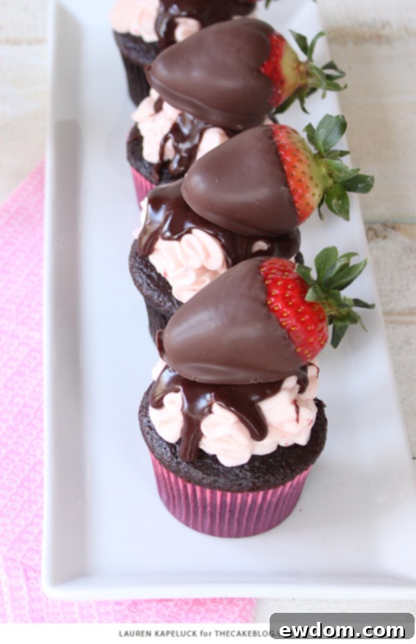 Luscious Strawberry Chocolate Cupcakes 9 A stunning arrangement of chocolate covered strawberry cupcakes with extra fresh strawberries