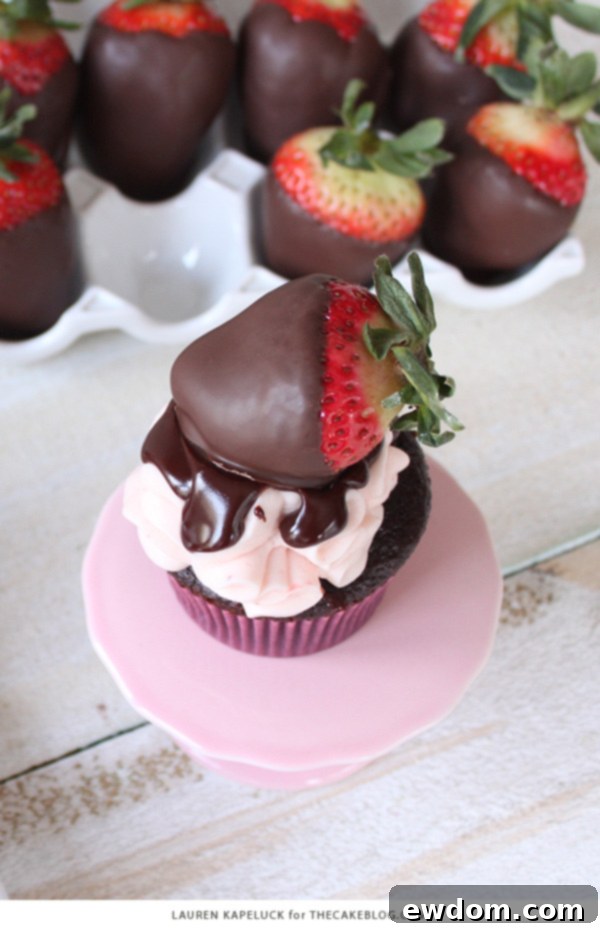 Luscious Strawberry Chocolate Cupcakes 10 Beautifully presented chocolate covered strawberry cupcakes on a rustic background