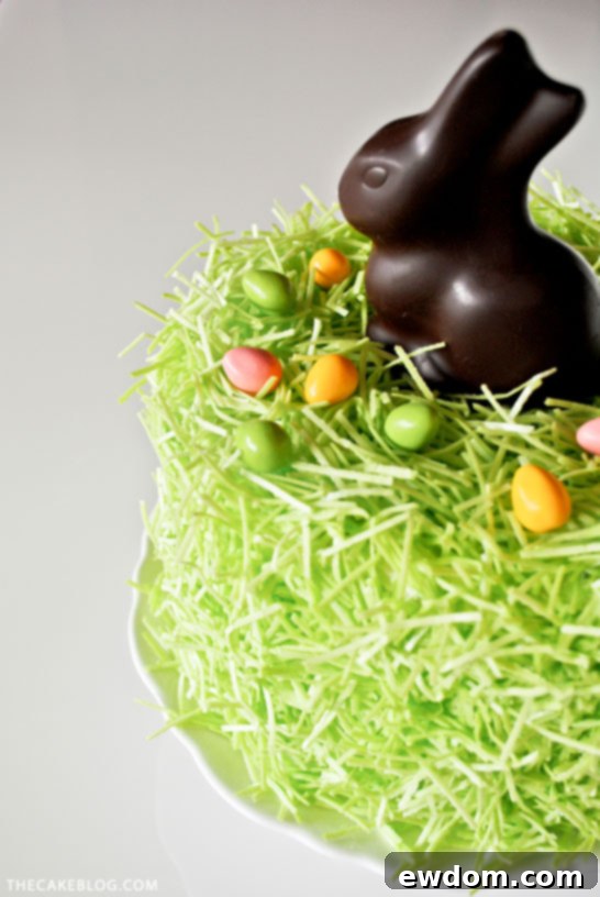 Close-up of an easy Chocolate Easter Bunny Cake with playful edible grass