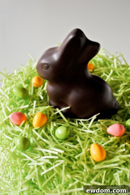 Detailed view of the edible grass texture on a Chocolate Easter Bunny Cake