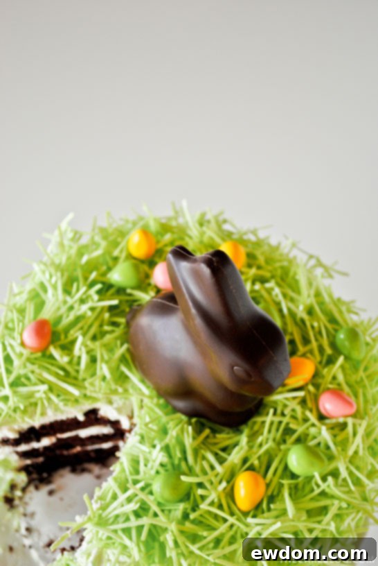 Finished DIY Chocolate Easter Bunny Cake, ready for an Easter celebration
