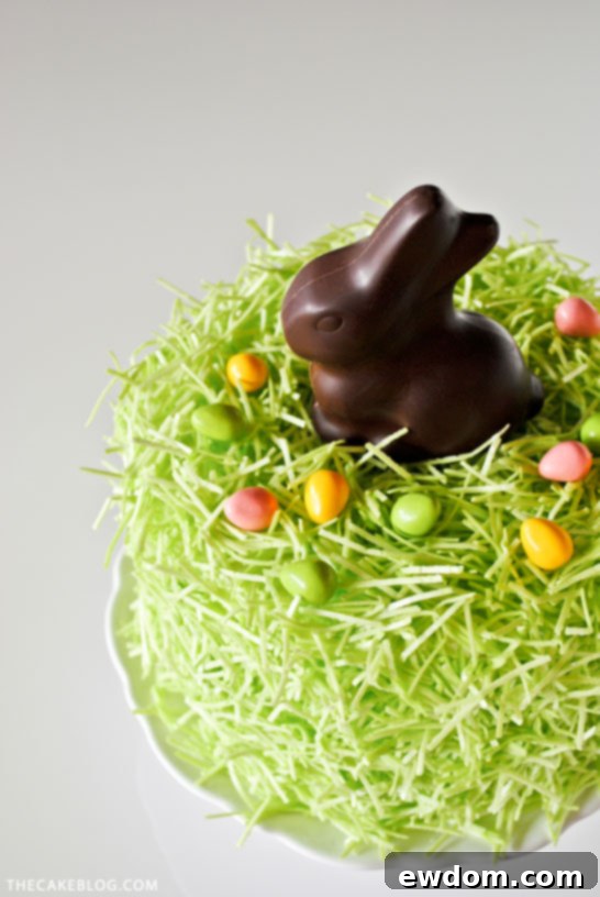 Overhead shot of the charming Chocolate Easter Bunny Cake centerpiece