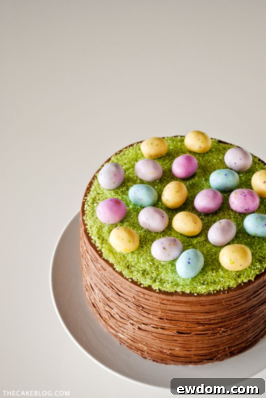 Basketweave Easter Cake 10 Easy Easter Basket Cake | a DIY by Carrie Sellman of TheCakeBlog.com