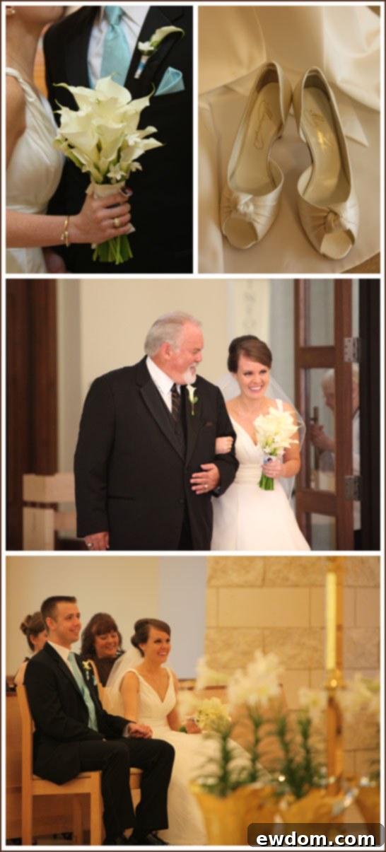 Tiffany Blue and Chocolate Brown Wedding - Bride and Groom Tiffany Blue and Chocolate Brown Wedding - Bride and Groom