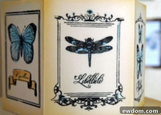 Elegant vintage butterfly cake side panel with stenciled entomology design