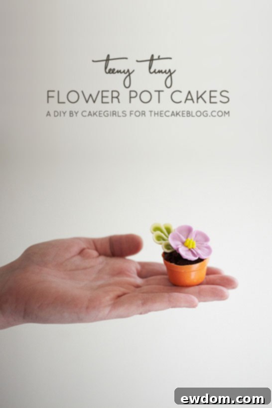 Teeny Tiny Flower Pot Cakes | Cake Tutorial by Cakegirls for TheCakeBlog.com