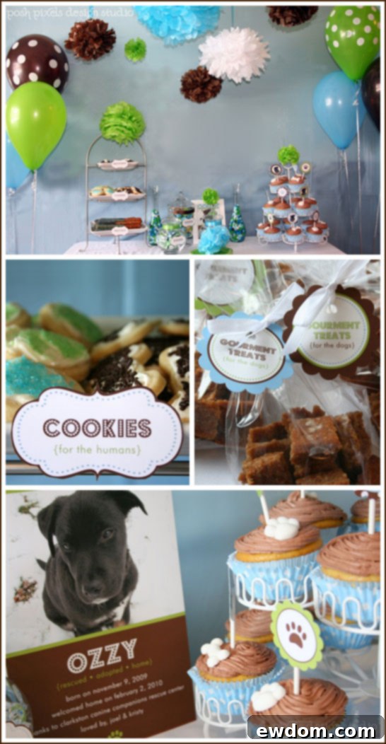 Puppy Party Theme: Brown, Blue & Green Decor Charming Puppy Party Decorations in Chocolate Brown, Baby Blue & Lime Green