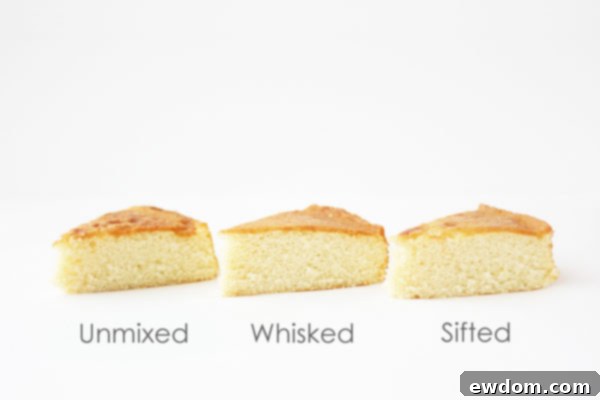 Summary image of baking science experiment results: whisking excels in ingredient distribution, sifting in particle separation, influencing cake texture.