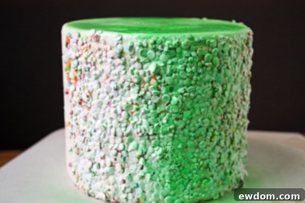 Spray Food Coloring Applied to Confetti Covered Cake - Glammy Monster Result