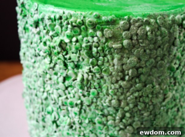 Glammy Monster Cake with Shimmer Dust Applied - Close Up