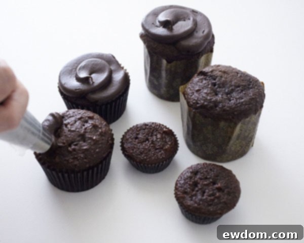 Sweet Little Worlds: DIY Cupcake Terrariums 12 Freshly baked chocolate cupcakes iced with dark fudge, ready for terrarium assembly.