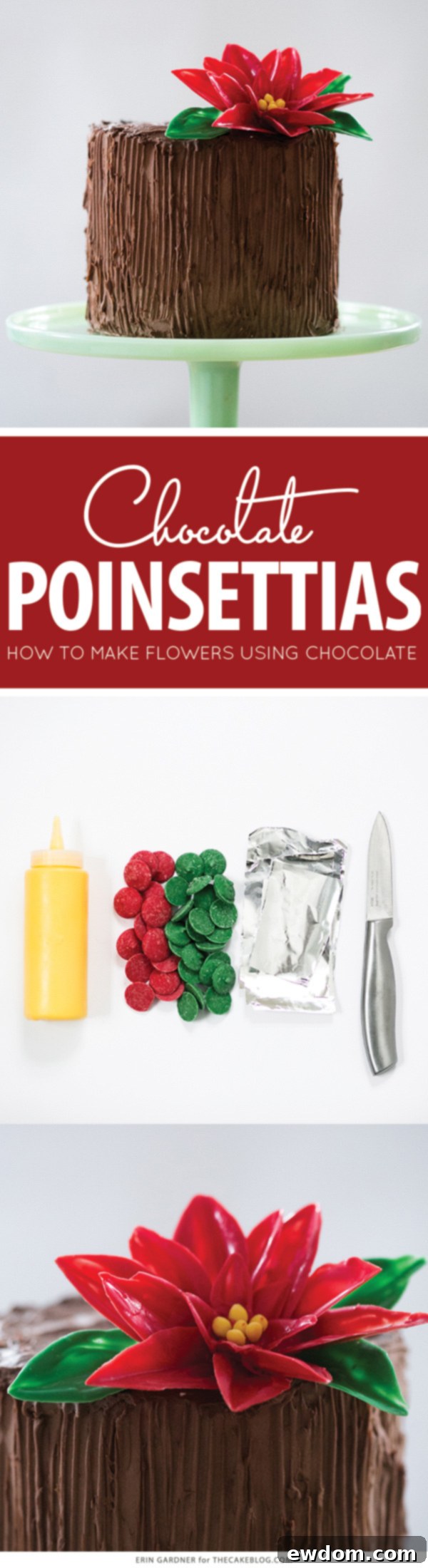 Chocolate Poinsettias - learn how to make these chocolate flowers with candy melts and a knife | Erin Gardner for TheCakeBlog.com