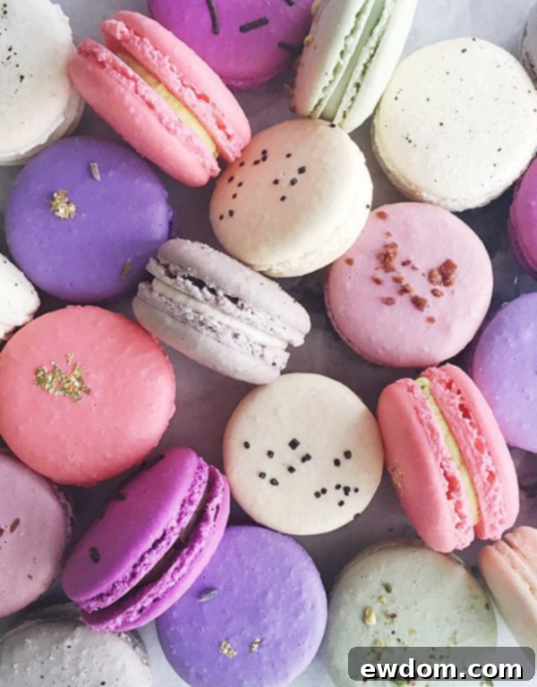 Jenna Rae Cakes Bakery Tour 15 A vibrant assortment of colorful macarons, showcasing the wide range of flavors and delightful appearance at Jenna Rae Cakes.