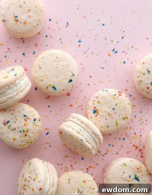 Jenna Rae Cakes Bakery Tour 19 A vibrant collection of Tutti Fruitti macarons, highlighting the playful and colorful offerings at Jenna Rae Cakes.