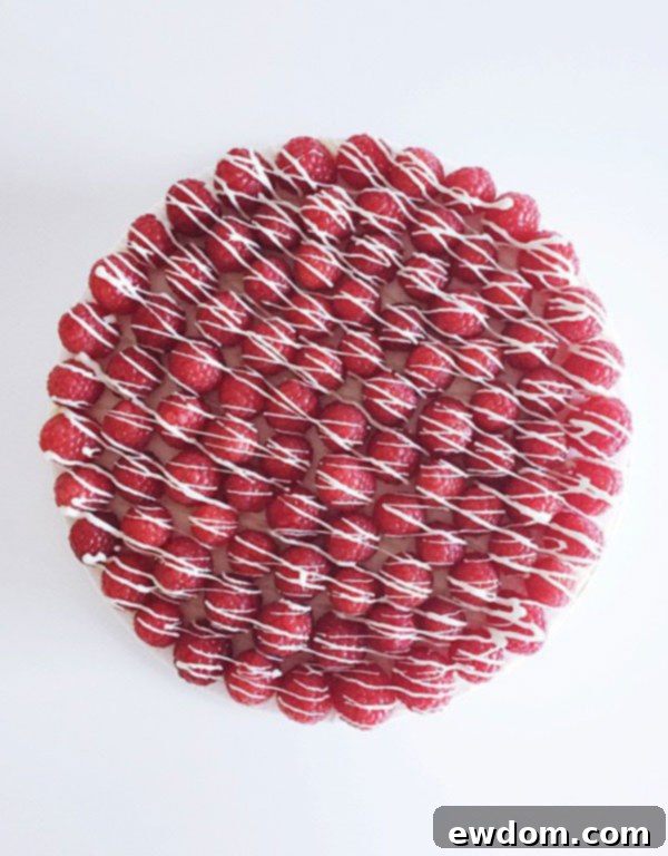 Jenna Rae Cakes Bakery Tour 21 A stunning Raspberry White Chocolate Cake, showcasing its elegant design and enticing layers, a favorite from Jenna Rae Cakes.