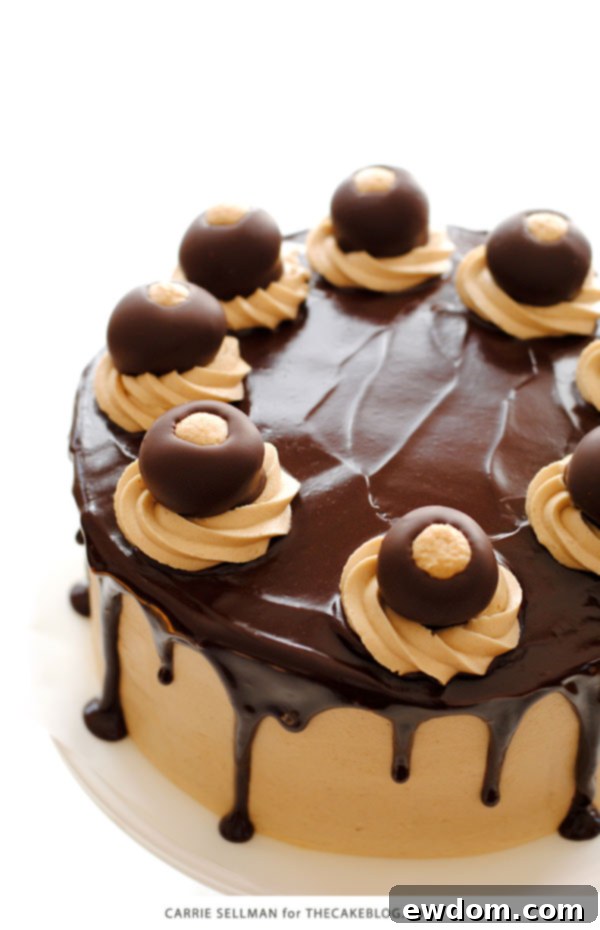 Slice of Chocolate Peanut Butter Cake revealing moist layers and creamy peanut butter filling