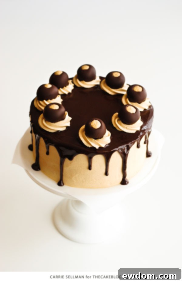 Close-up of homemade peanut butter balls, also known as buckeyes, ready for dipping