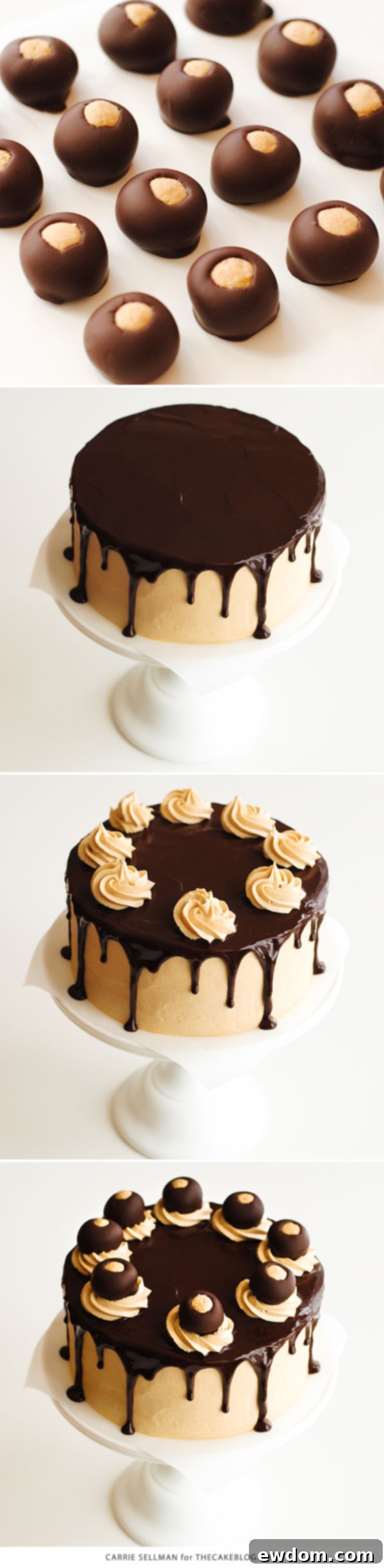 Overhead shot of the finished Chocolate Peanut Butter Layer Cake adorned with buckeyes