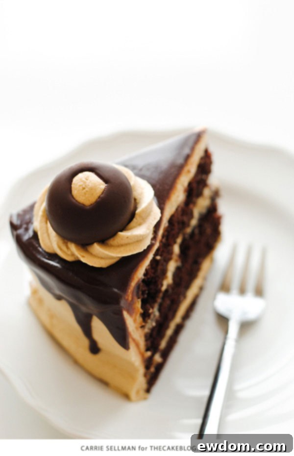 Texture shot of the rich chocolate ganache dripping down the sides of the cake