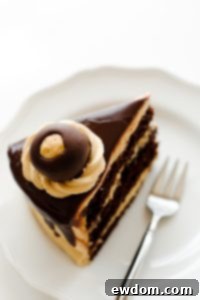 Featured image of Chocolate Peanut Butter Cake recipe card
